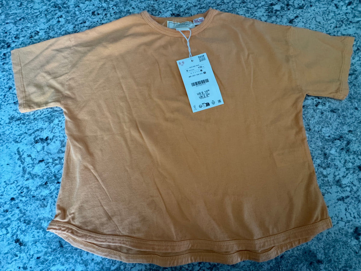 #107 Zara Boxy Tee 6 NWT