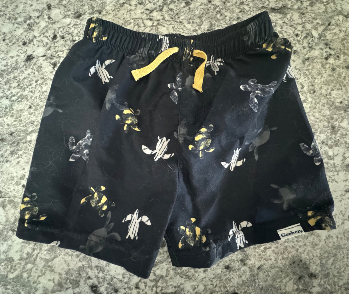 #107 Swim Trunks 2T