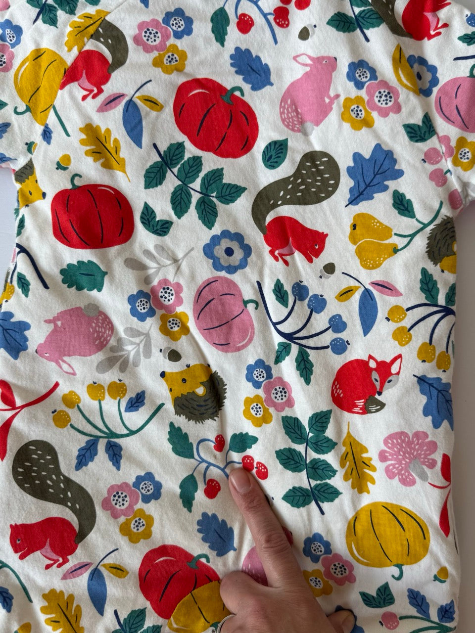 #190 Baby Boden 12-18m Fall Harvest Cosy Bunting