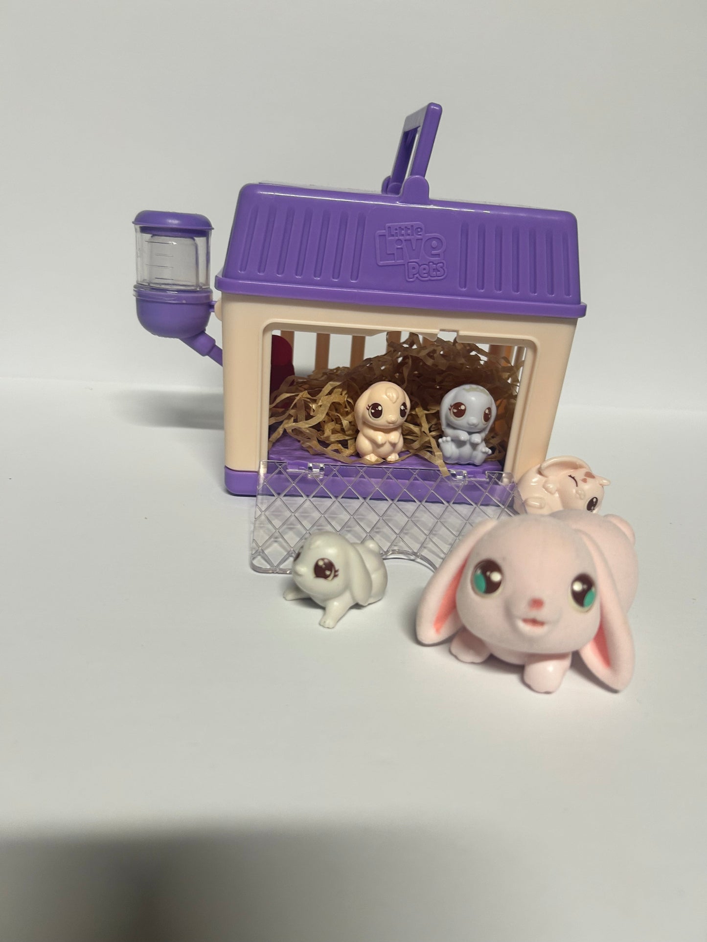 #70 Bunny and babies