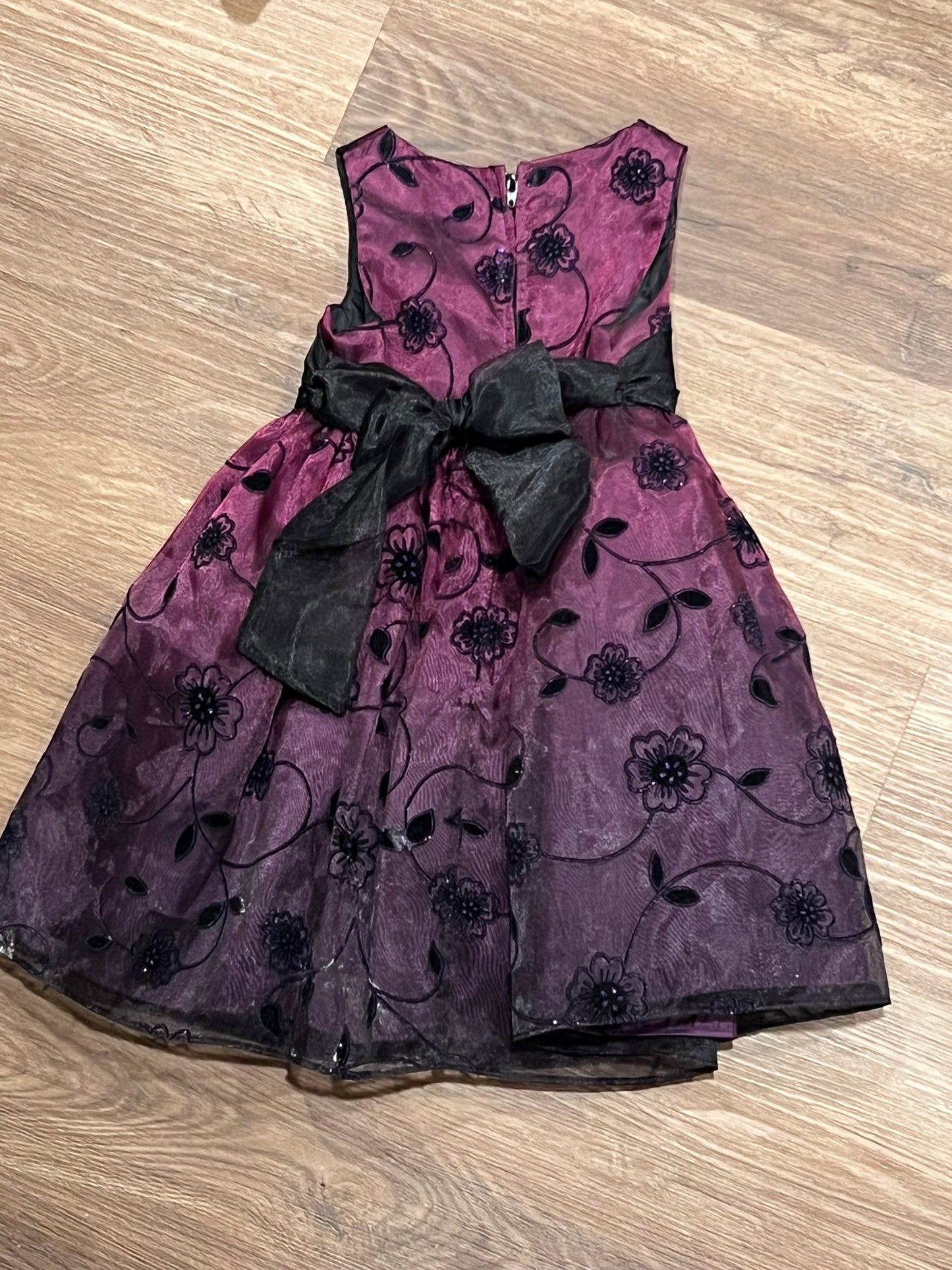 #24 2T rare traditions dress
