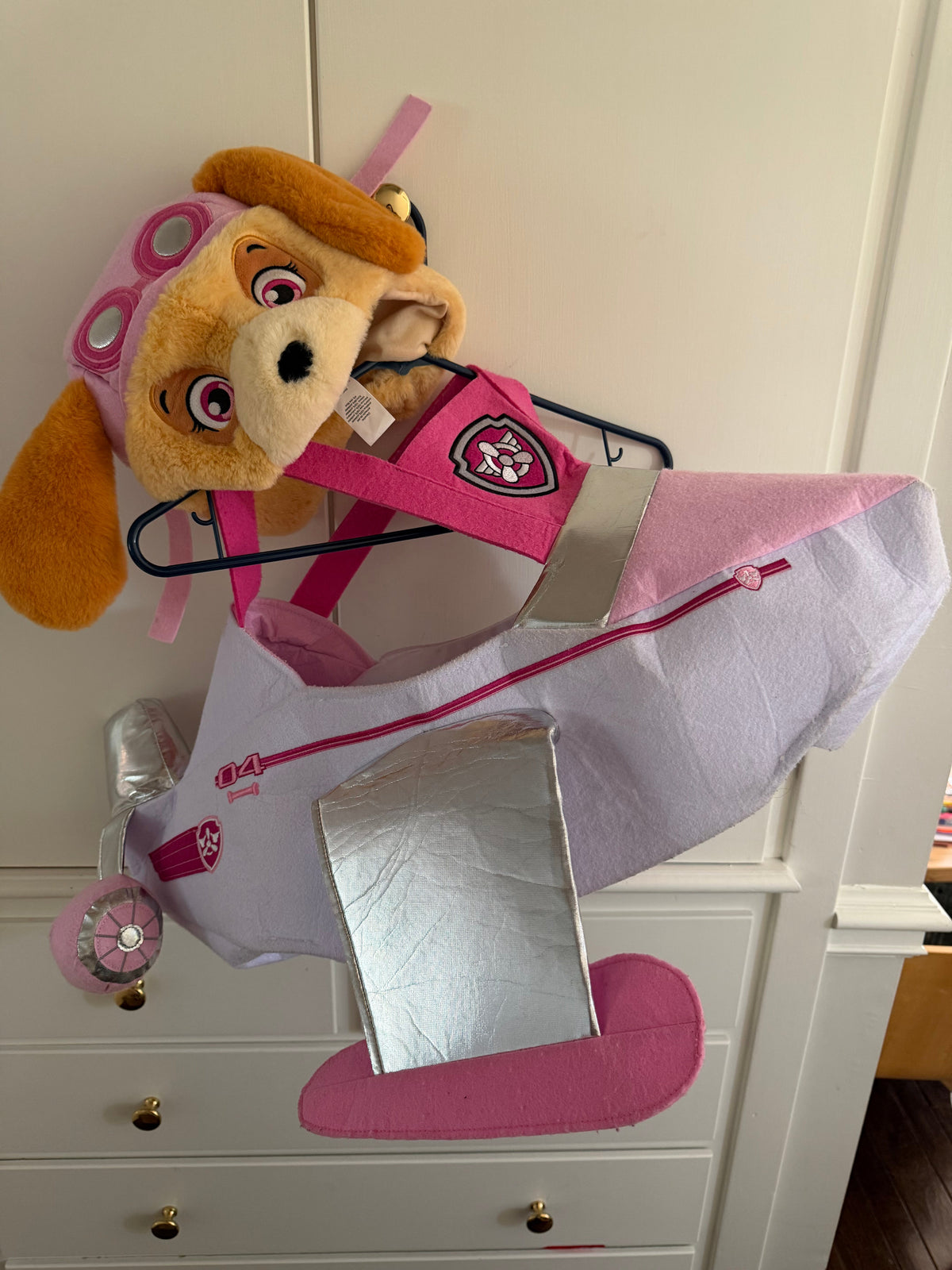 #117, Size M, Pottery Barn Paw Patrol Skye Costume, GUC