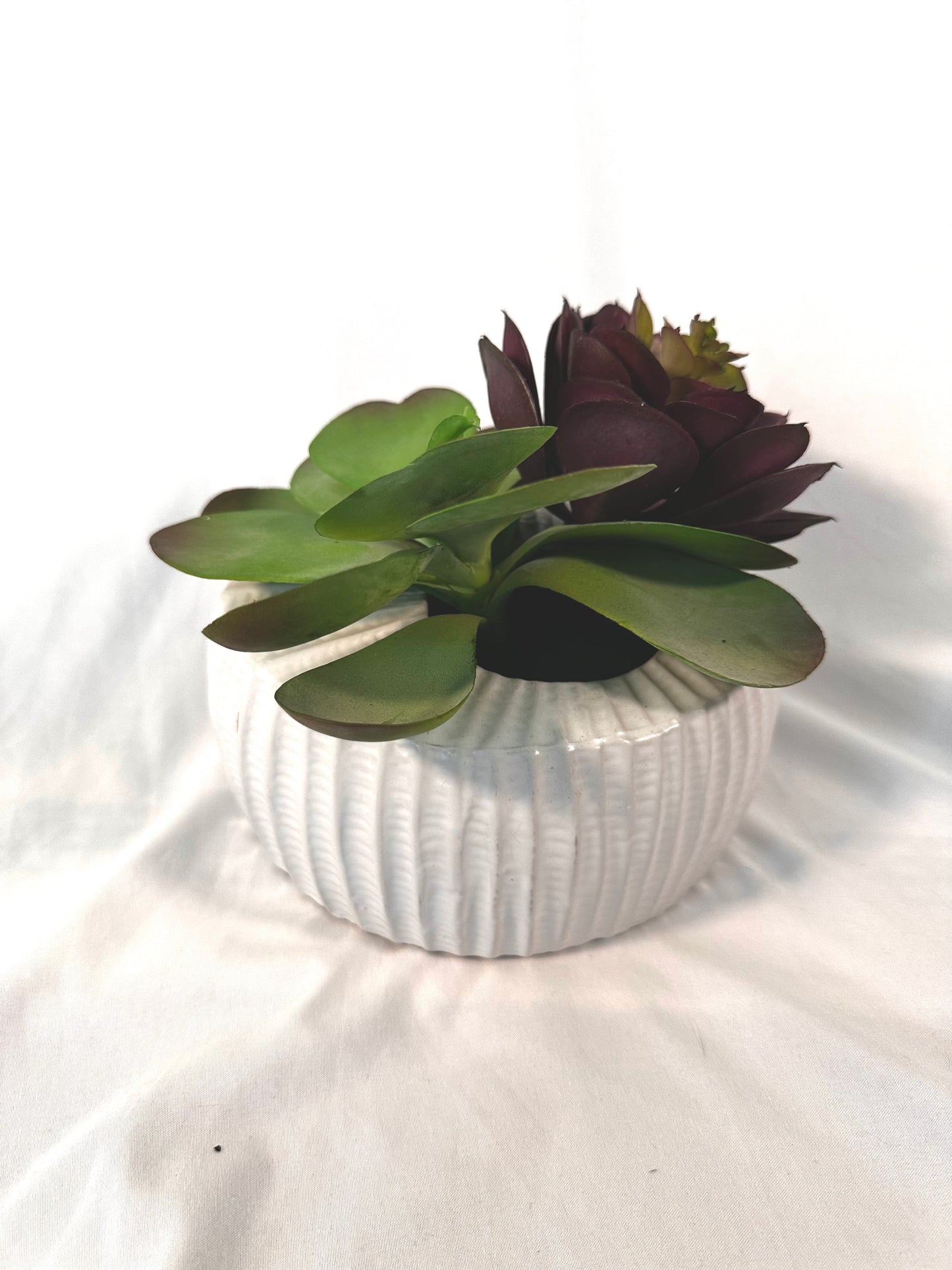 #30 Elm & Iron Succulent Vase 10" wide