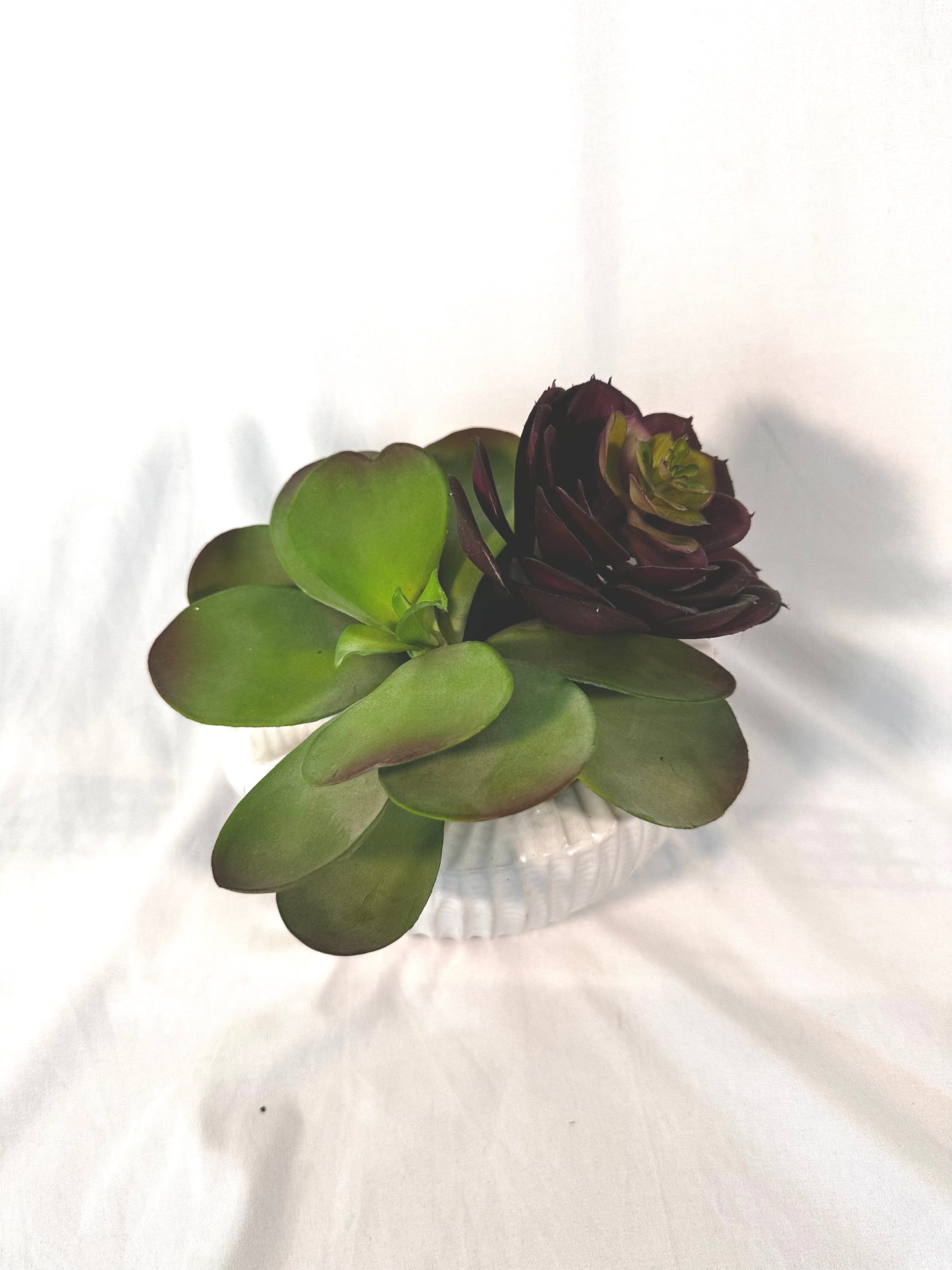 #30 Elm & Iron Succulent Vase 10" wide