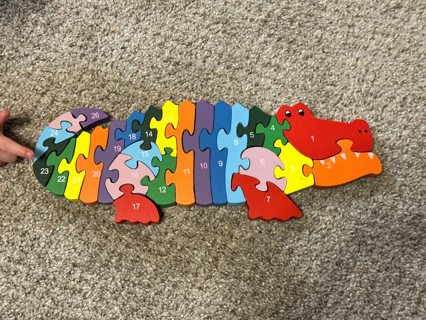 #65 Rainbow Alligator Puzzle