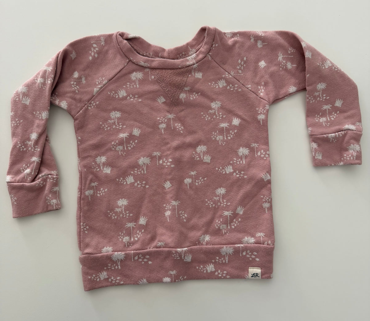 #117, Girls 24M, Lulu + Roo blush pink sweatshirt, GUC