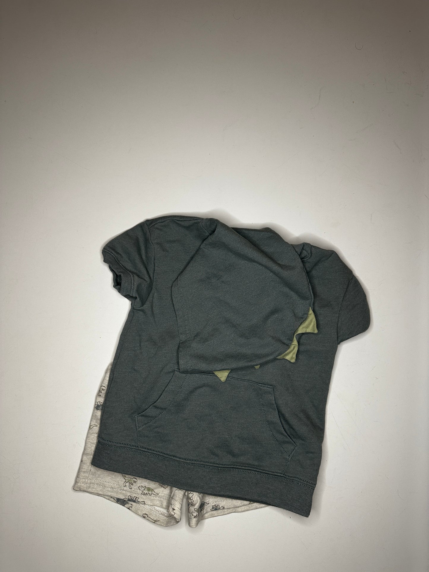 #33 REDUCED Carter's Boys 2T dinosaur shorts and hoodie (listing 2)