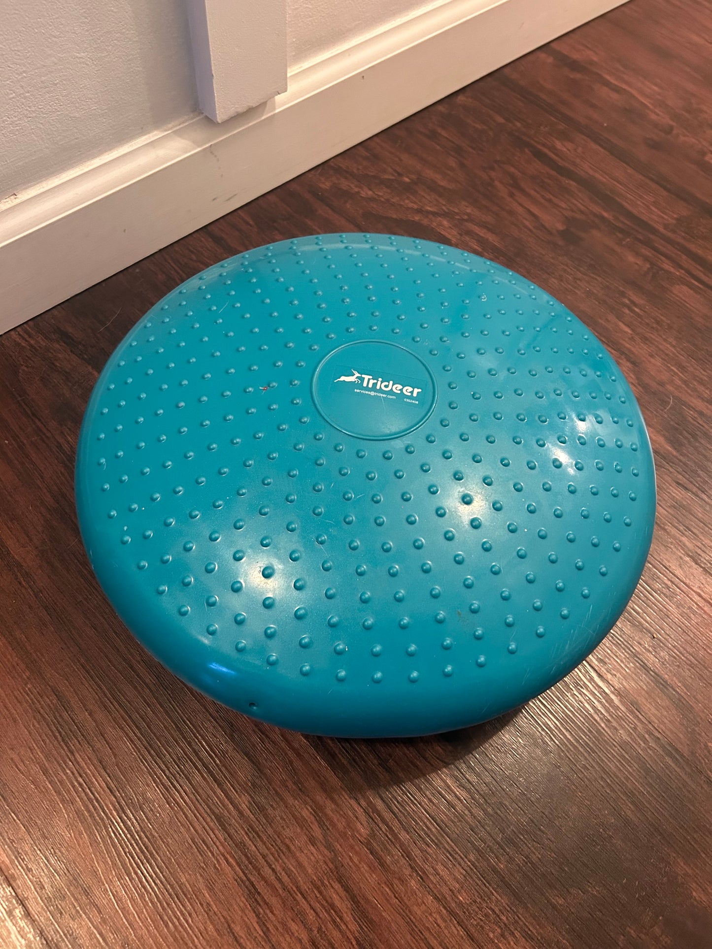 Seller 21 wobble cushion