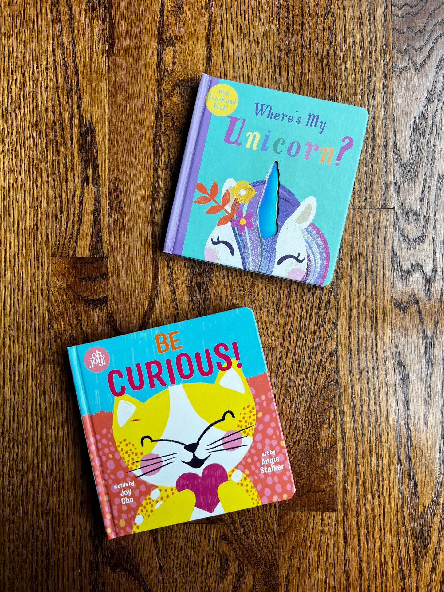 Seller #115 - REDUCED Baby / Toddler Board Book Bundle, Set of 2 (Where’s My Unicorn? & Be Curious!), VGUC