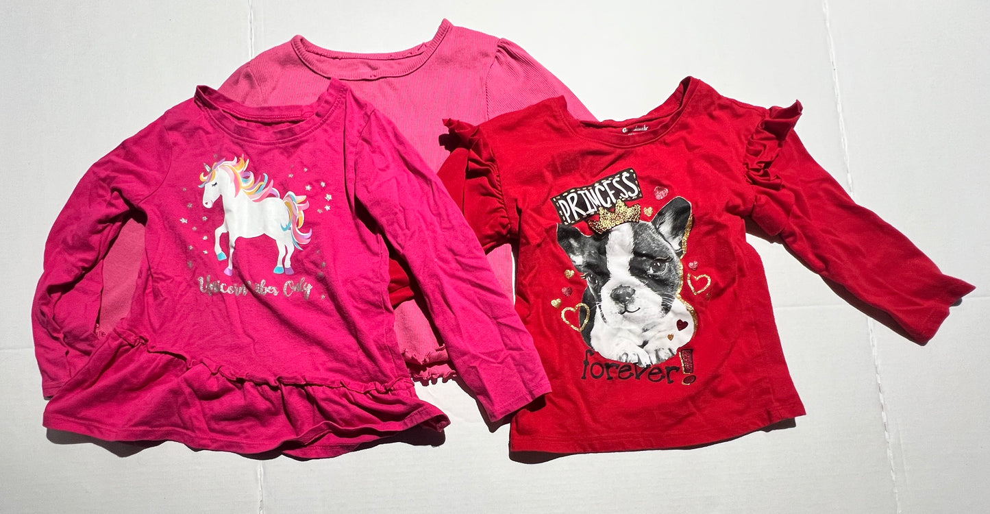 #98 Girls 3T Top bundle