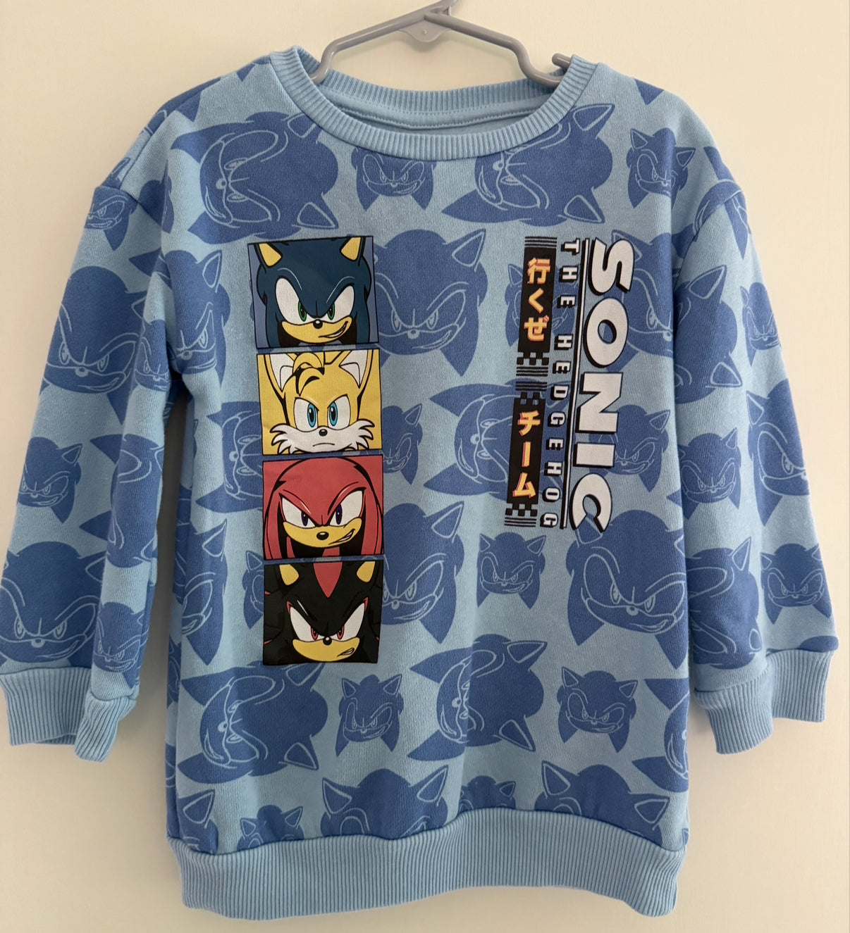 #146 - REDUCED Boys XS Sonic Crewneck | EUC