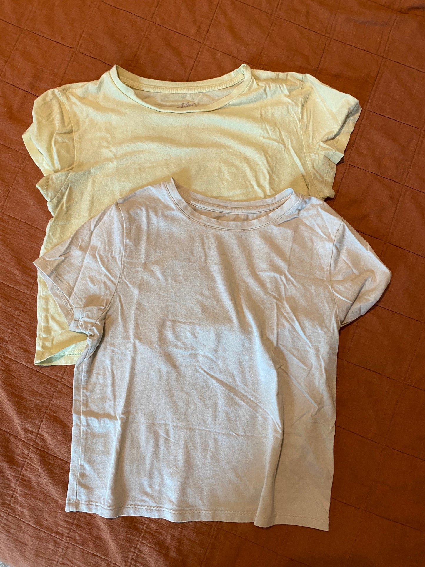 Seller #86 *REDUCED* Womens crop tees