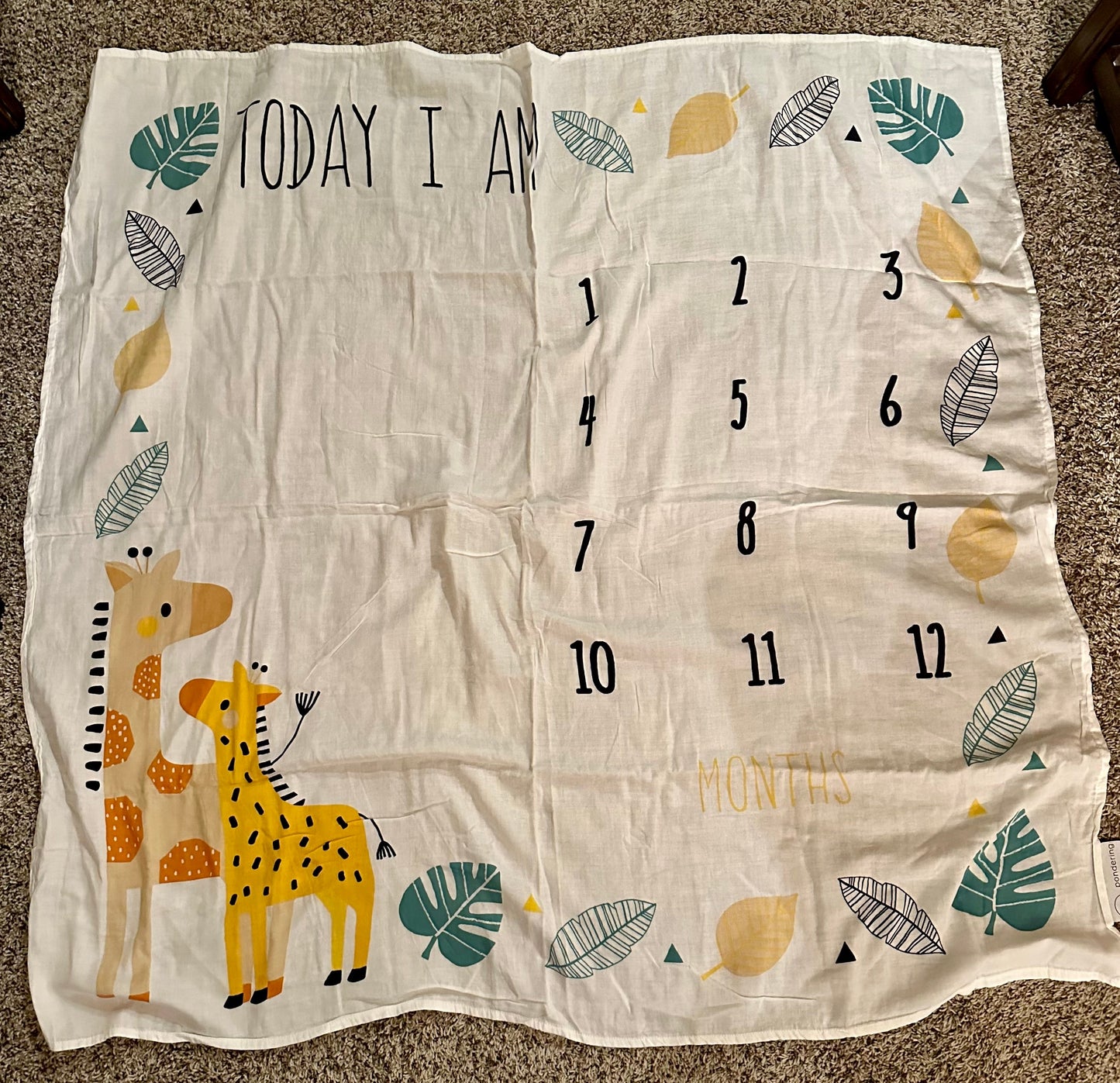 #88 baby milestone blanquet euc