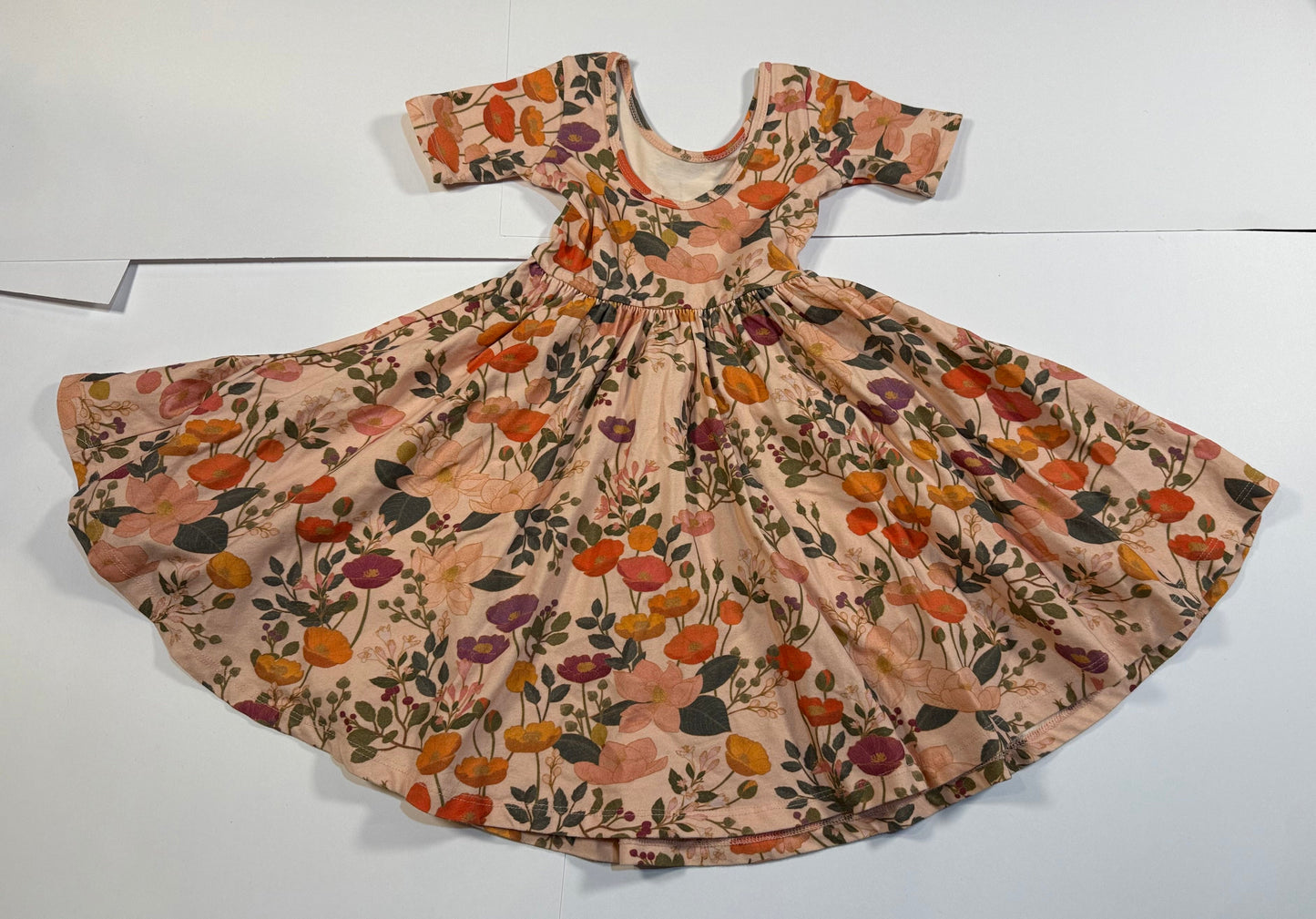 #180 Girls 5 Alice & Ames Fall Botanical Twirl Dress