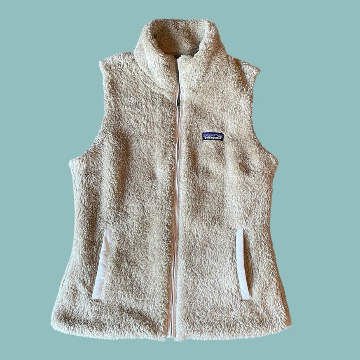 #1 Patagonia Fleece Vest Medium REDUCED