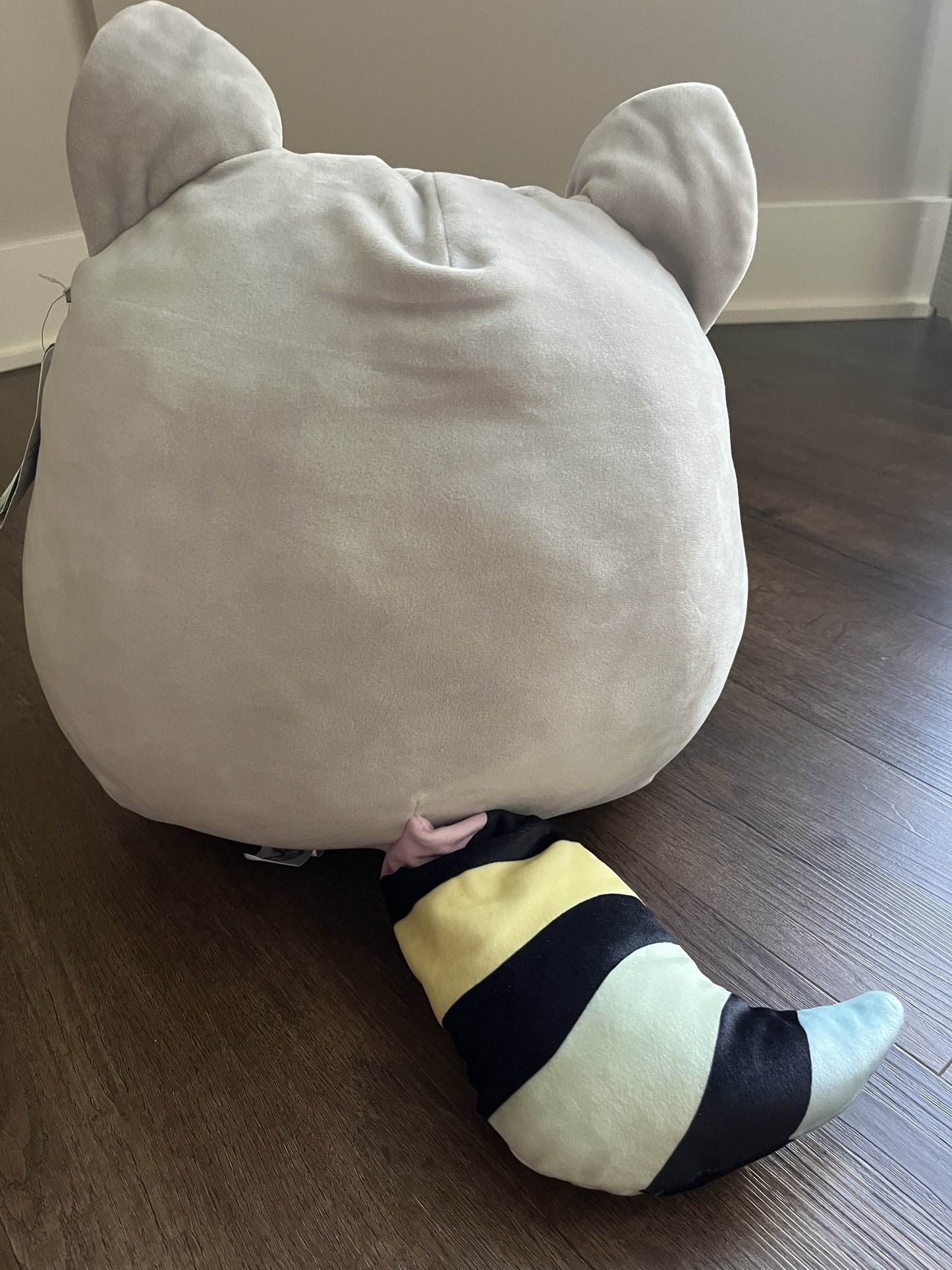#124 Max Raccoon Squishmallow 13"