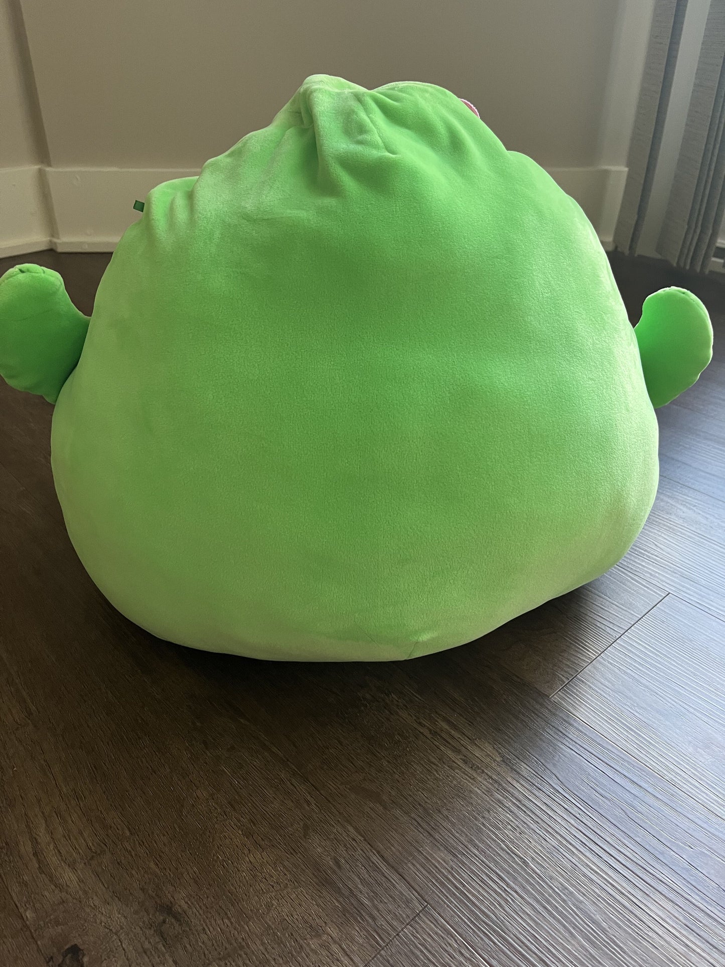 #124 Maritza The Cactus Squishmallow 14"