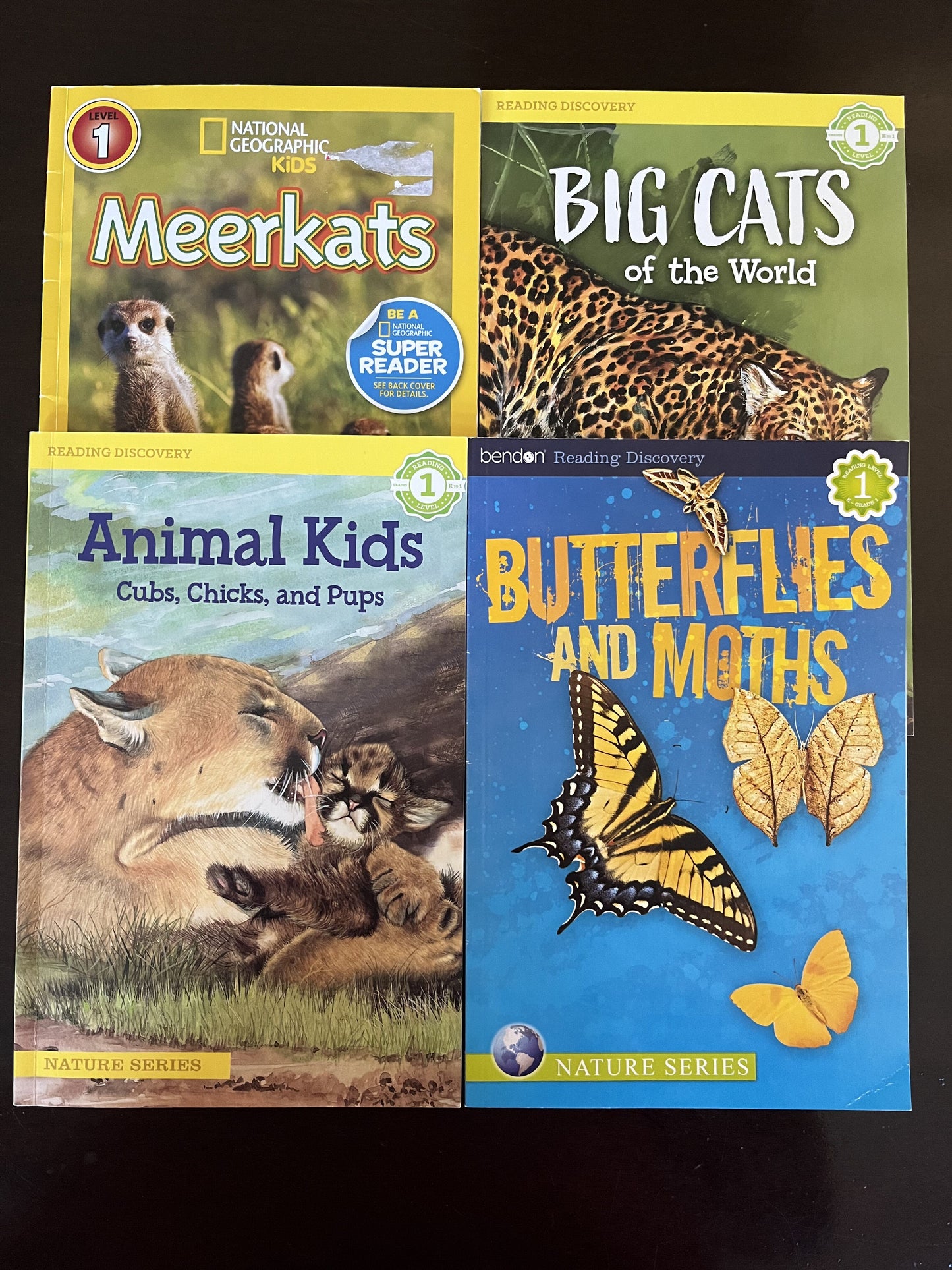 #124 Set of 4 Reading Level 1 Paperback Books