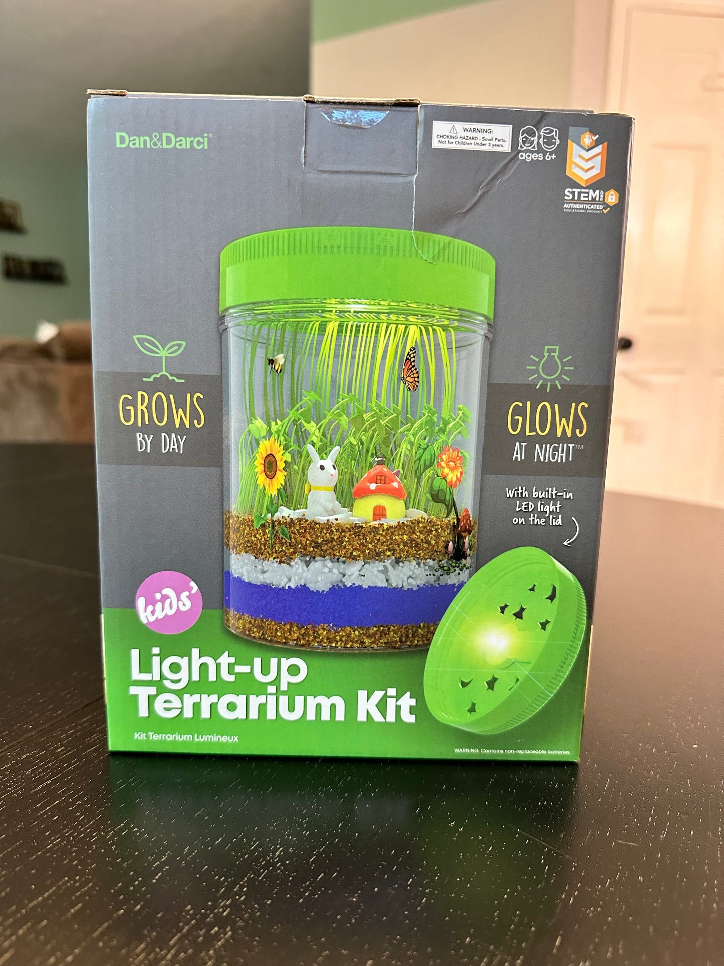 #169 Light Up Terrarium- NEW