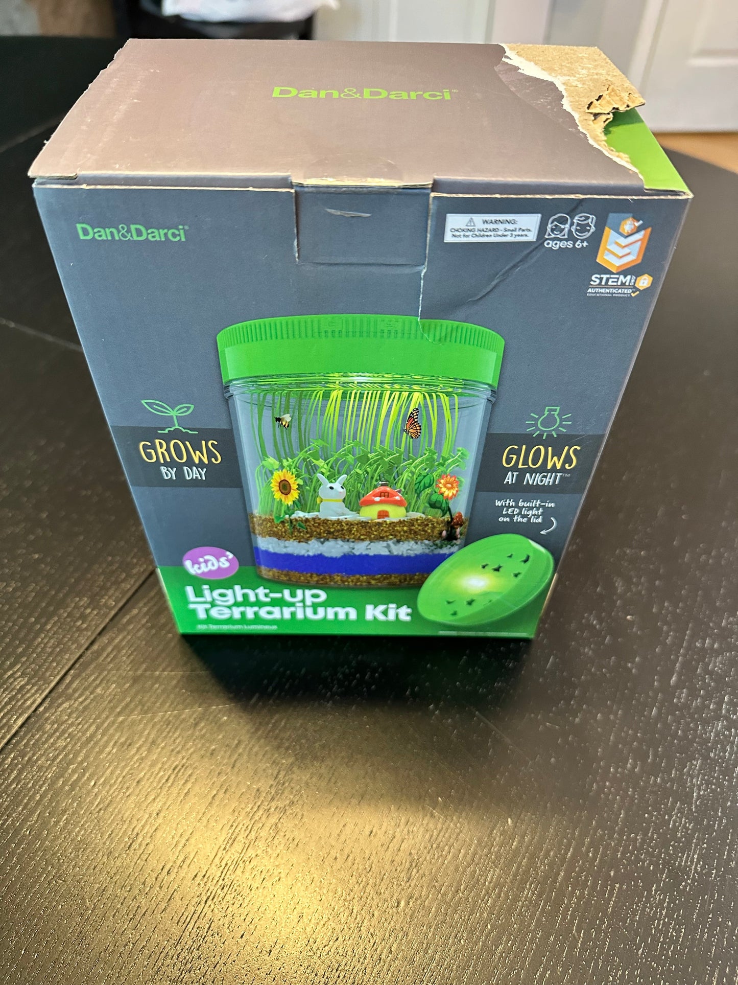 #169 Light Up Terrarium- NEW
