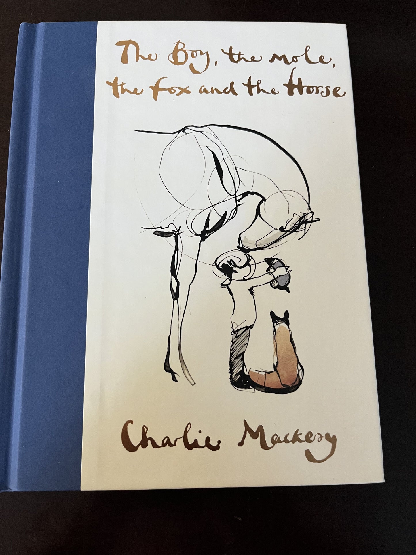 #124 EUC The Boy The Mole The Fox and The Horse Hardcover Book