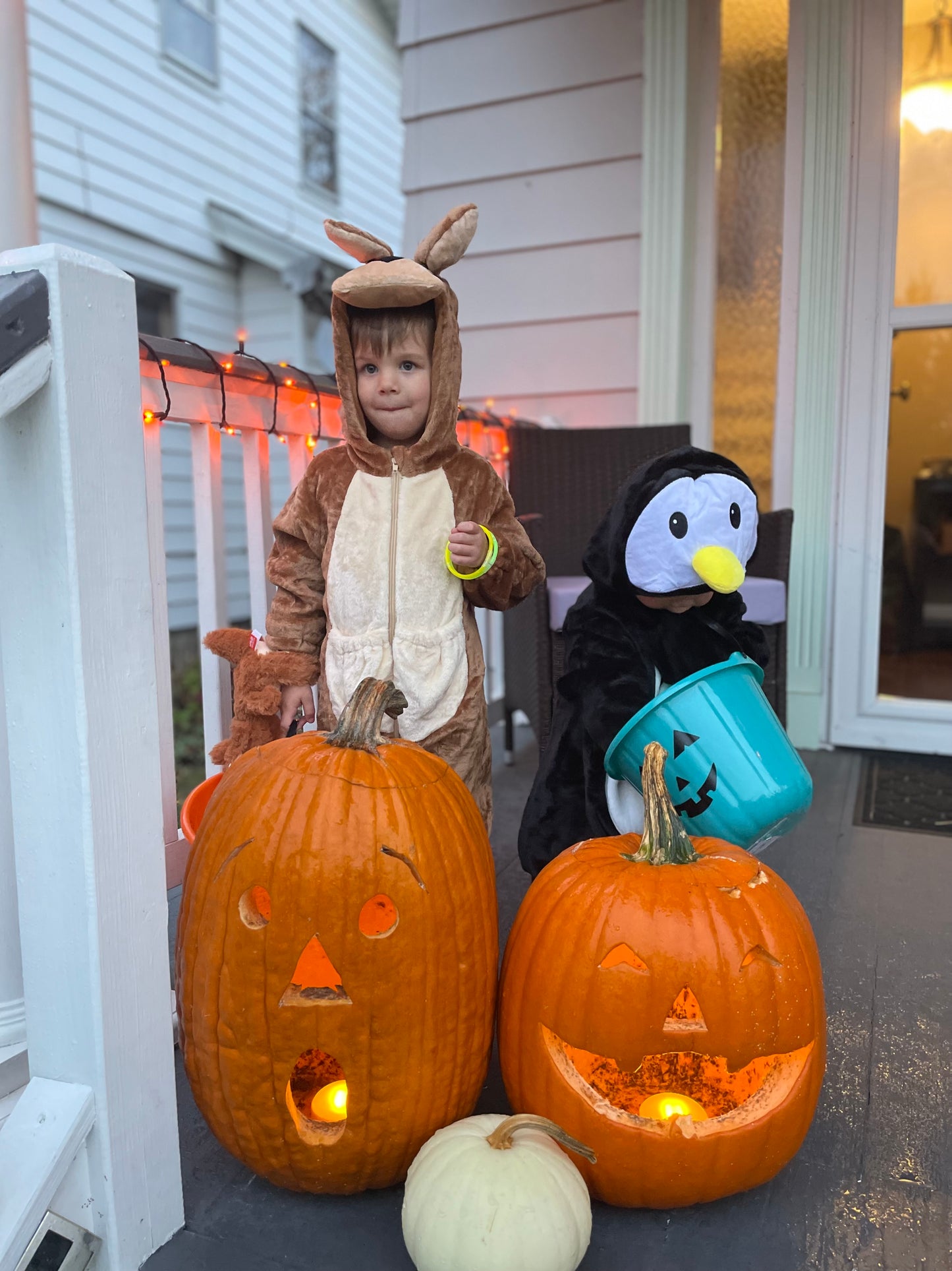 #75 - 3T Kangaroo Costume