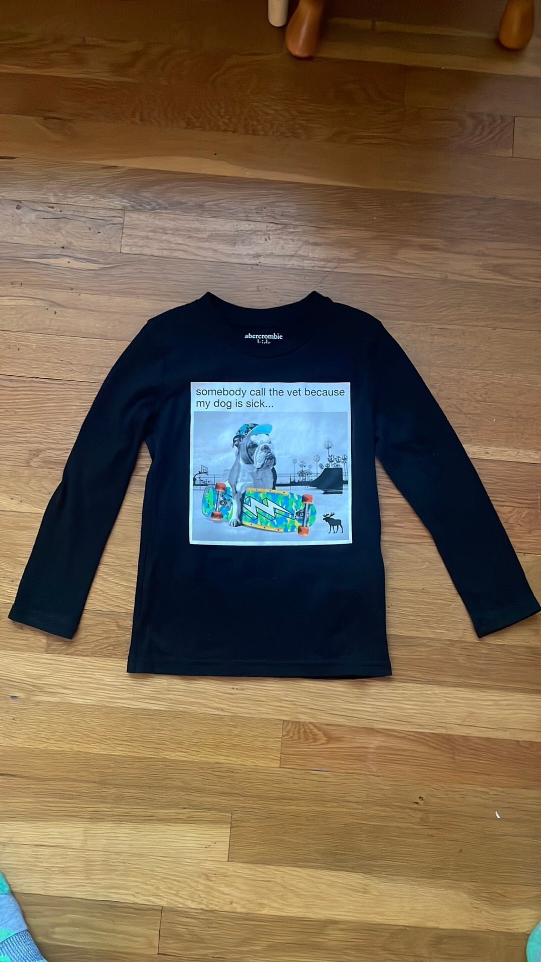 #116 Abercrombie & Fitch boys 5/6 skateboarding dog long sleeve t-shirt
