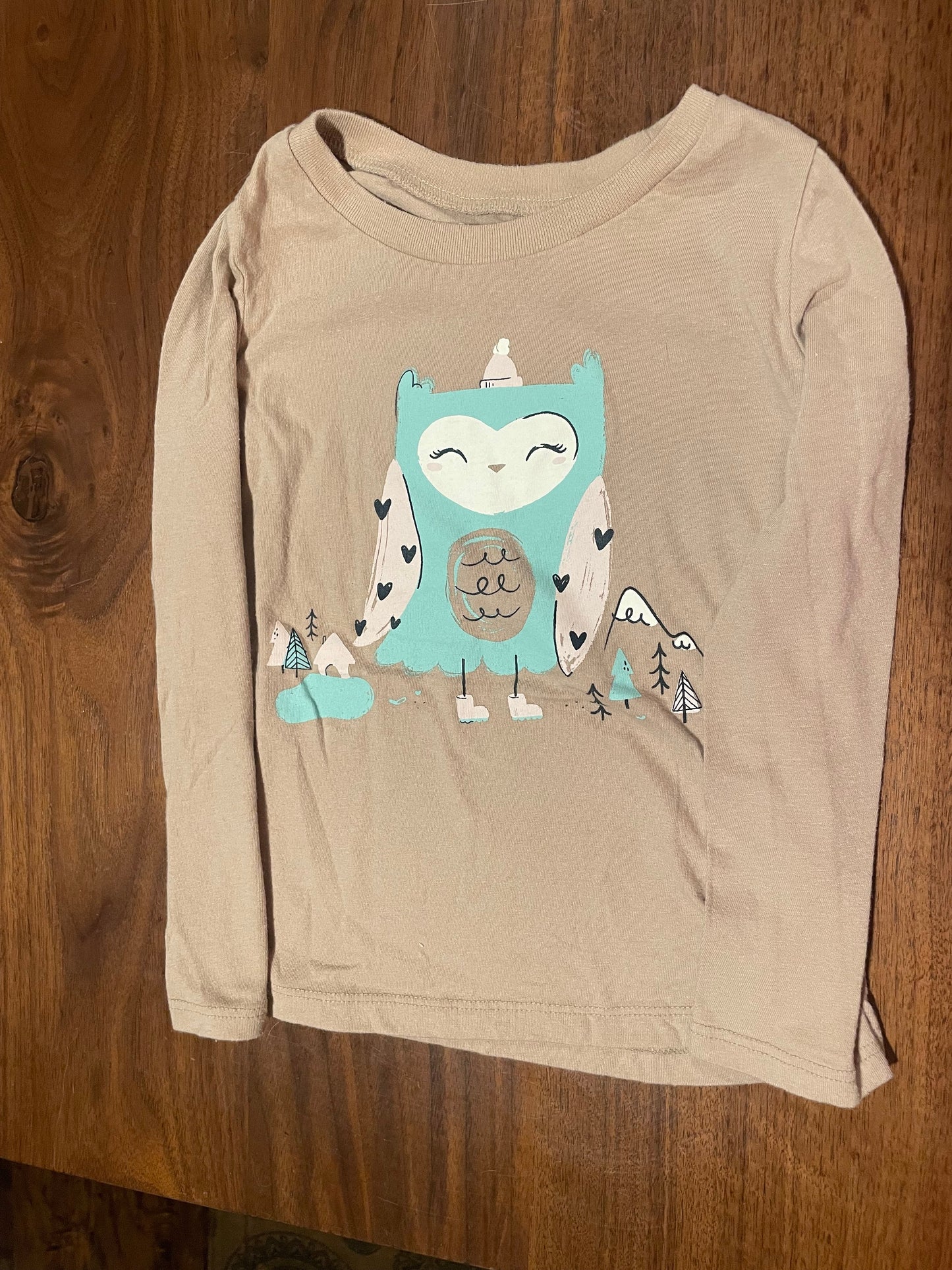 #177 Carter's Girls Owl Shirt 4T