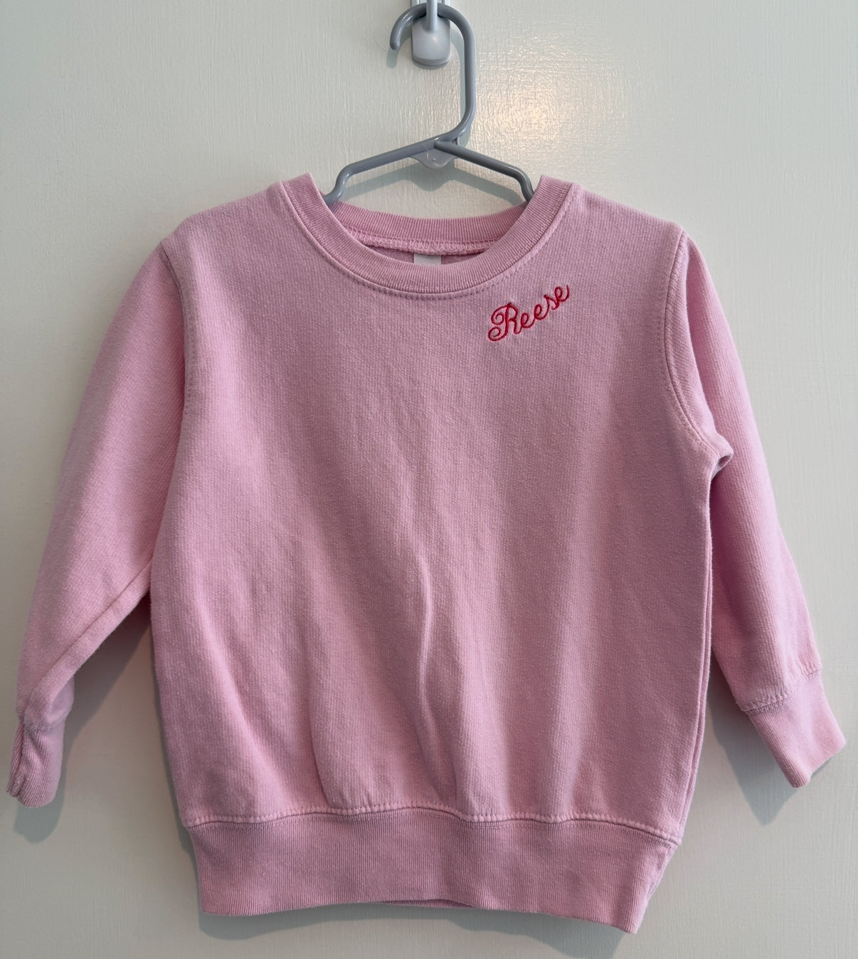 #146 - REDUCED Girls 3T "REESE" Pink Crewneck
