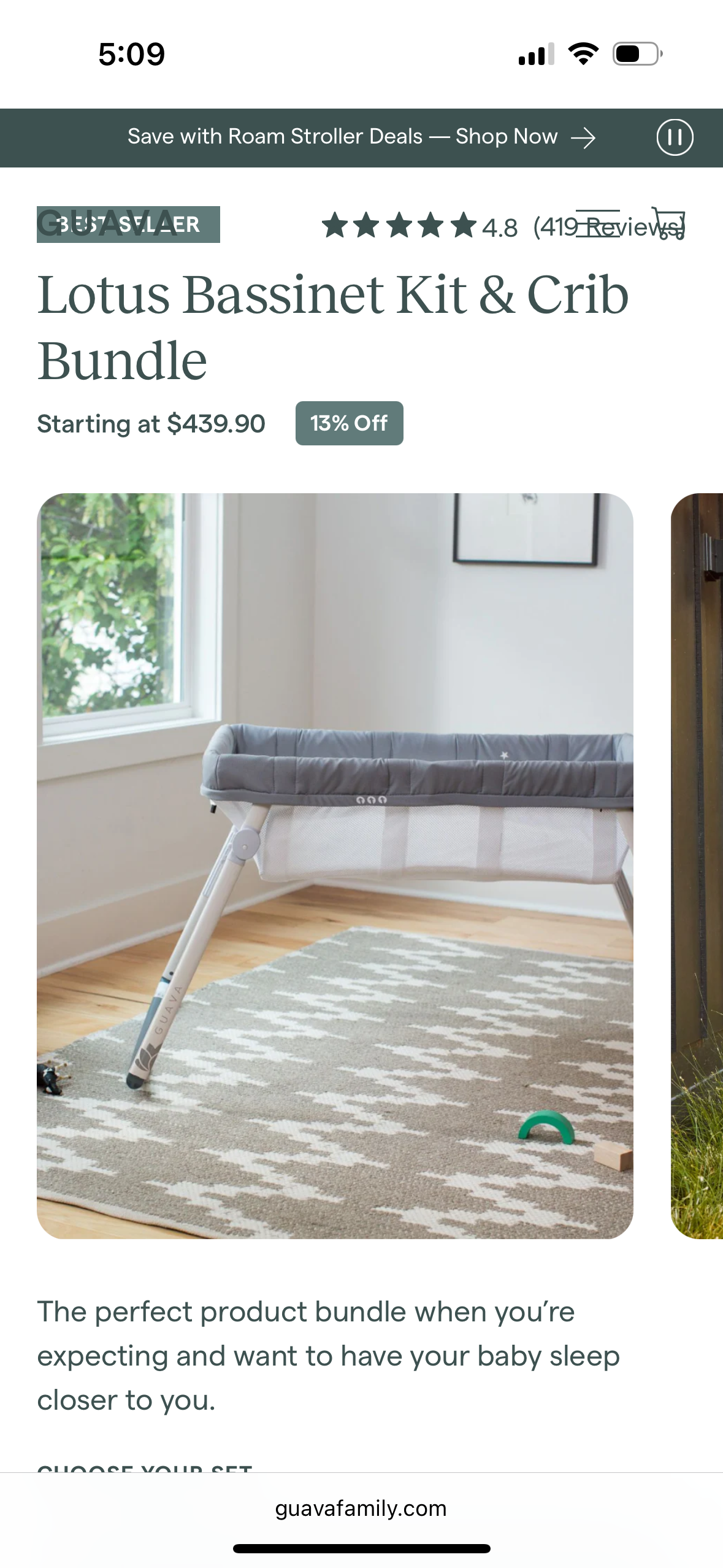 #24 guava family travel crib