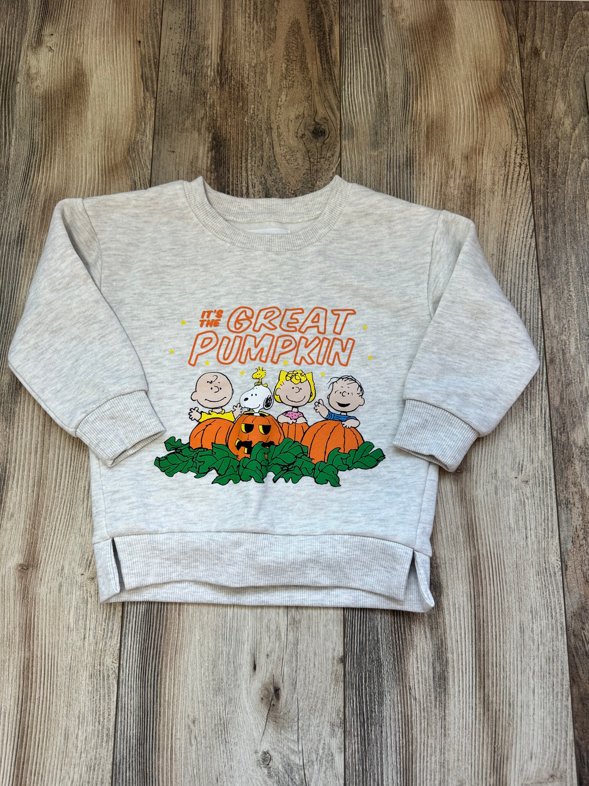 Seller #84 | NWOT 3T Peanuts Halloween Sweatshirt