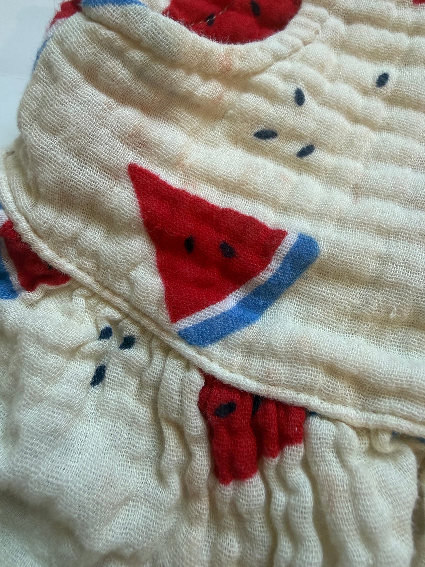 Cat and Jack watermelon outfit girls 12 months