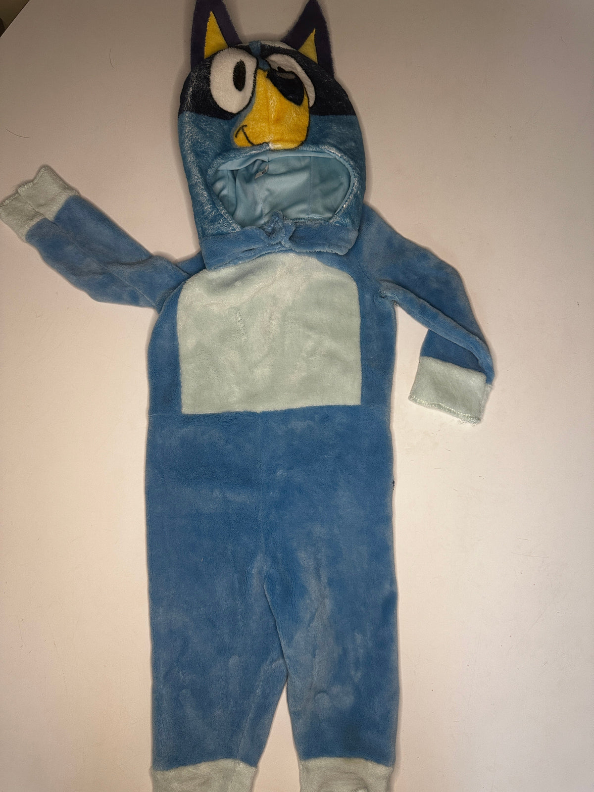 Seller #40 kids Bluey halloween costume from "Bluey"