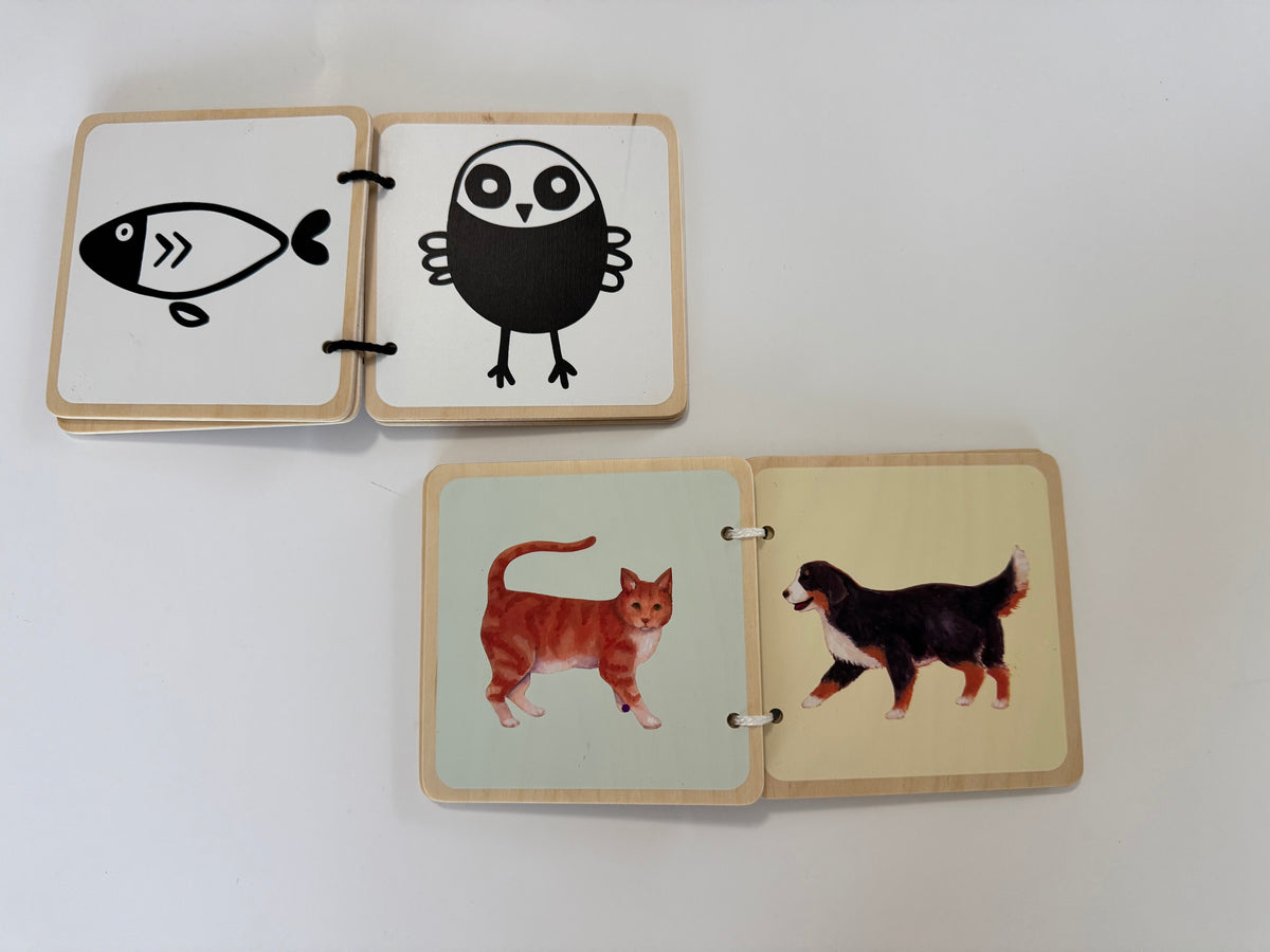 Seller #29 Lovevery Montessori Wooden Book Set