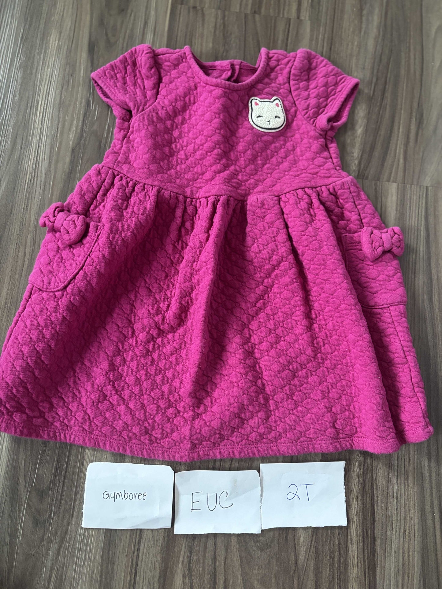 #138 - 2T EUC Gymboree Pink Cat Dress