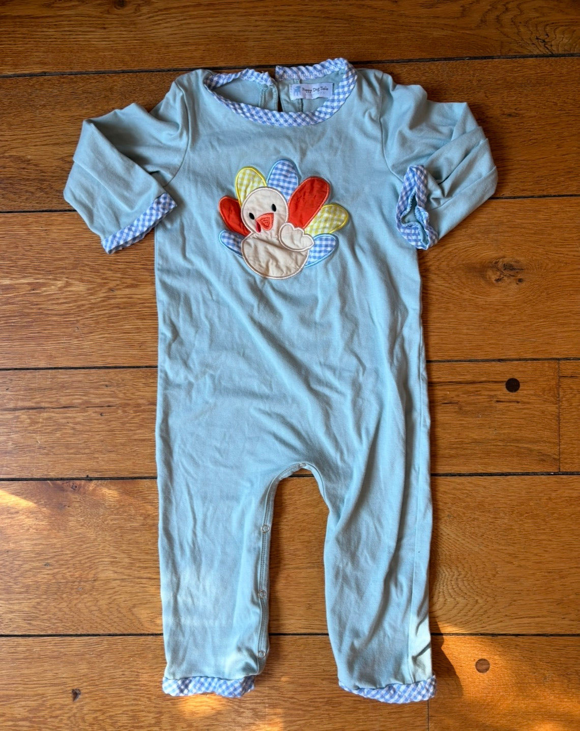 #22 Boys turkey thanksgiving outfit size 2t