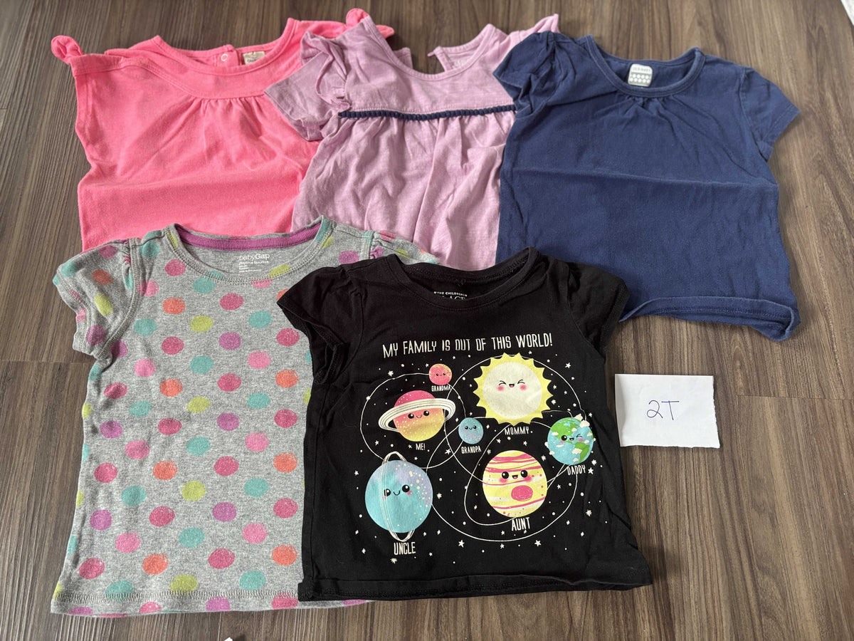 #138 - 2T (5) Shirts (pink, purple, navy, dots, world)