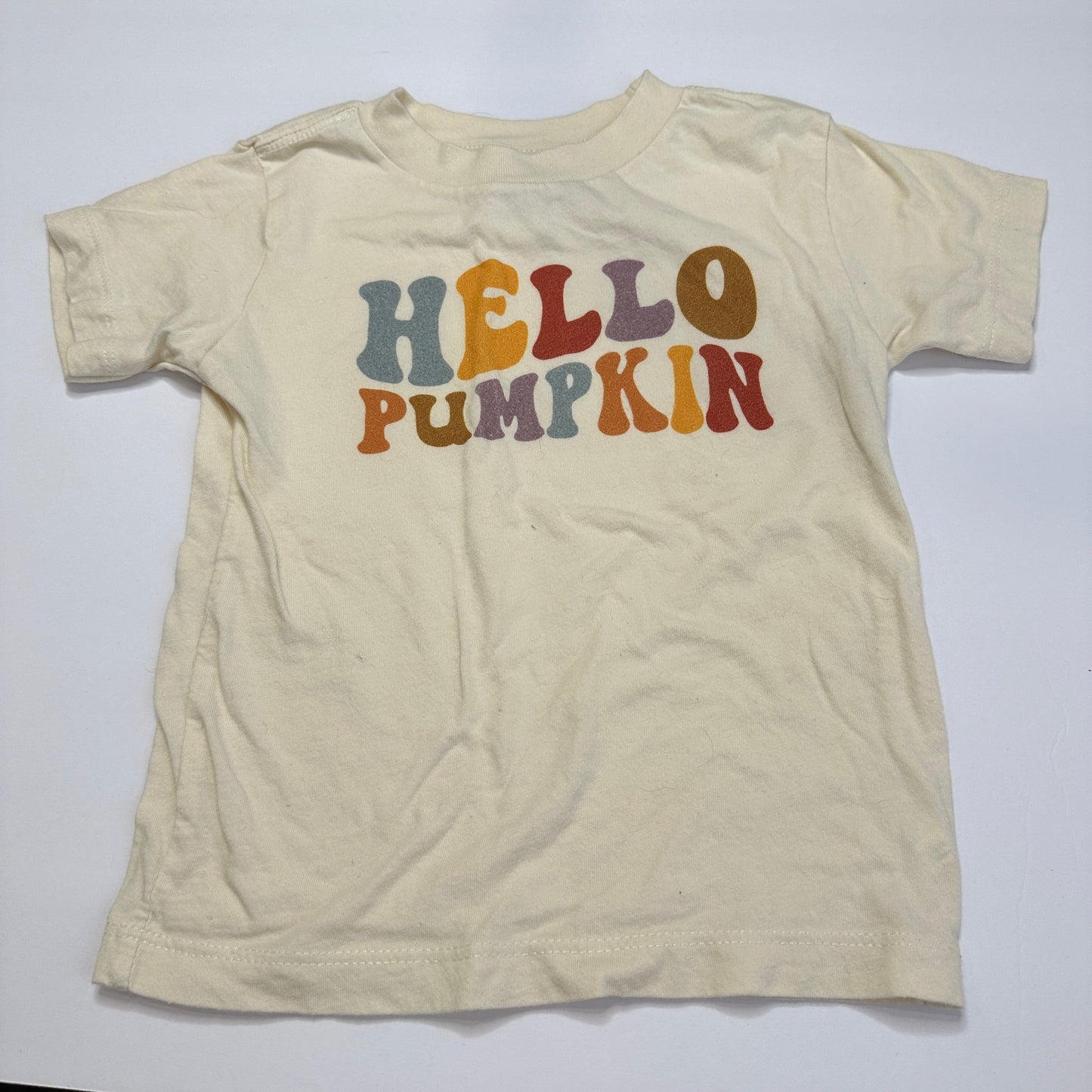 #162 Fall Shirt 2T