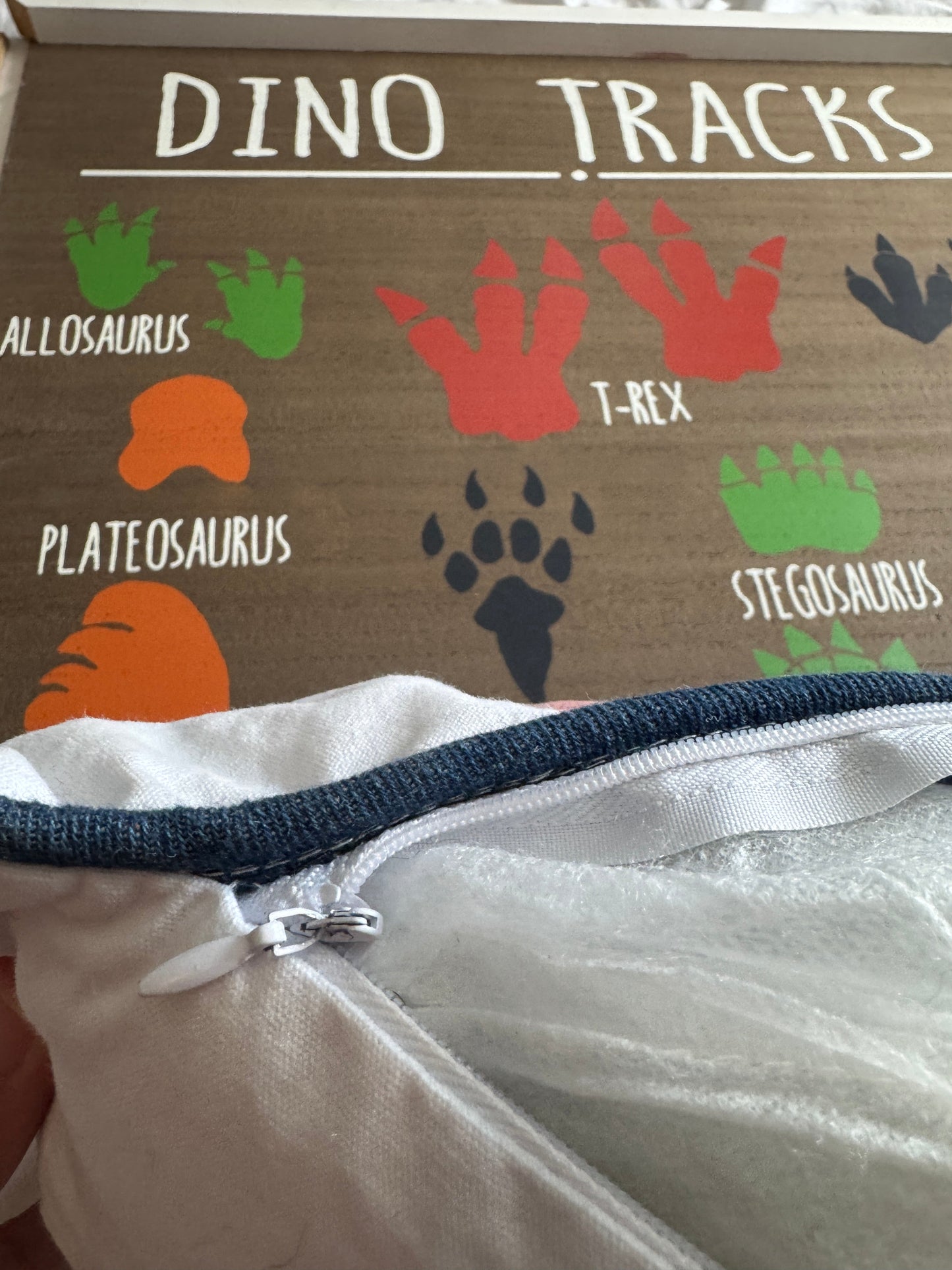Seller #22 - Dino Decor - READ CAREFULLY - OUC