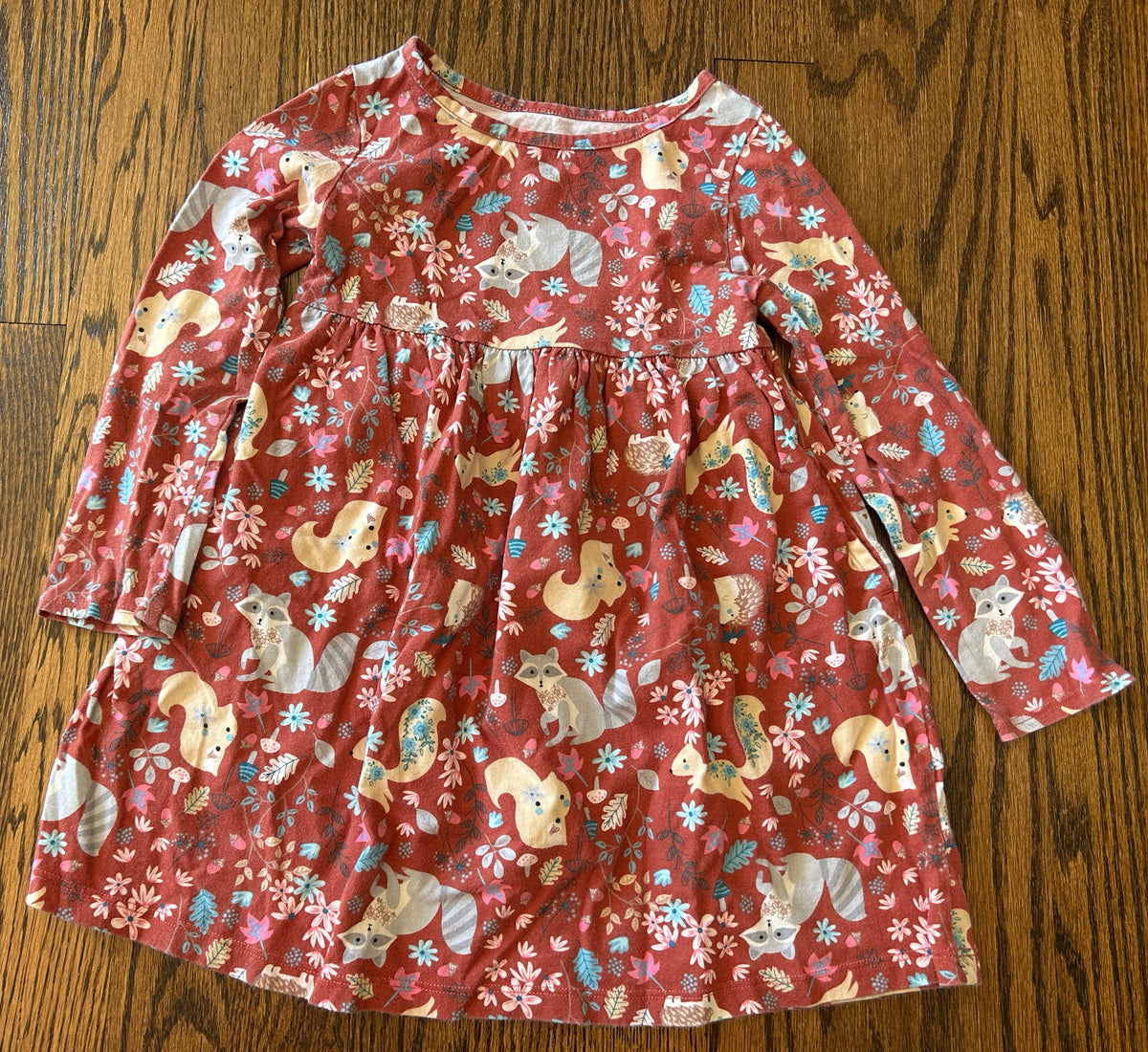 Seller 120, VGUC Girls 4T Fall Dress