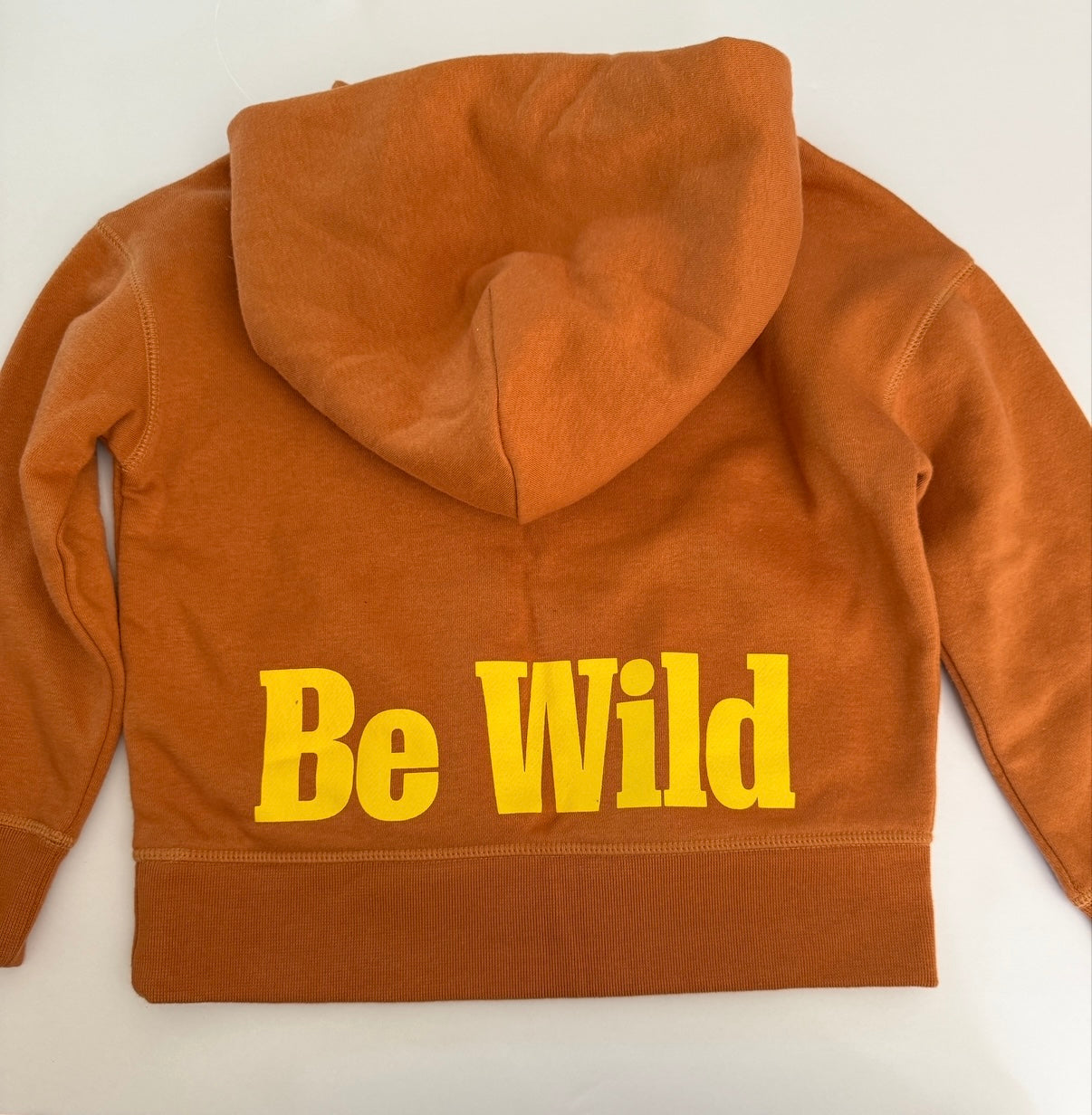 #41 Reduced | Boys XS 4-5 | NWT GAP National Geographic sweatshirt- this is SO SOFT!