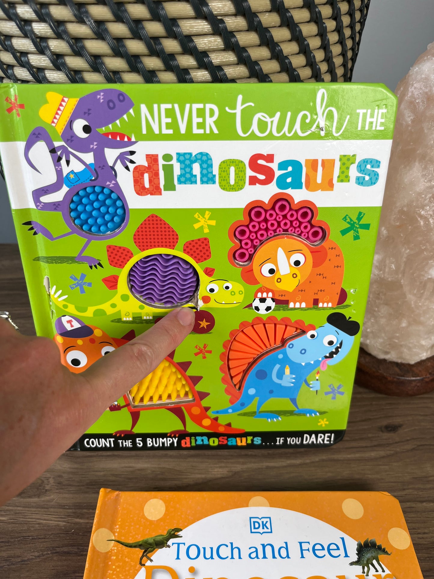 Seller#213 Set of 2 Dino Baby Books EUC/GUC