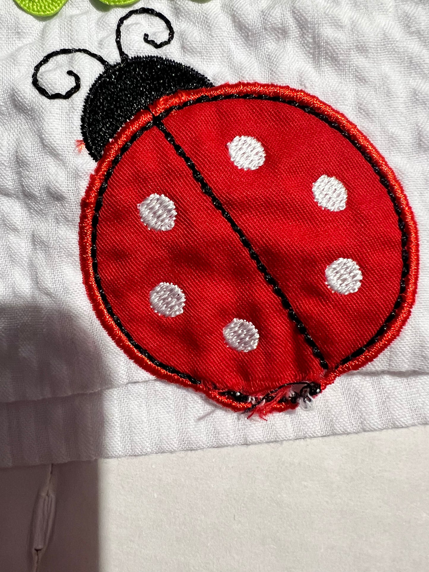 #100 Girls Ladybug Dress 12mo