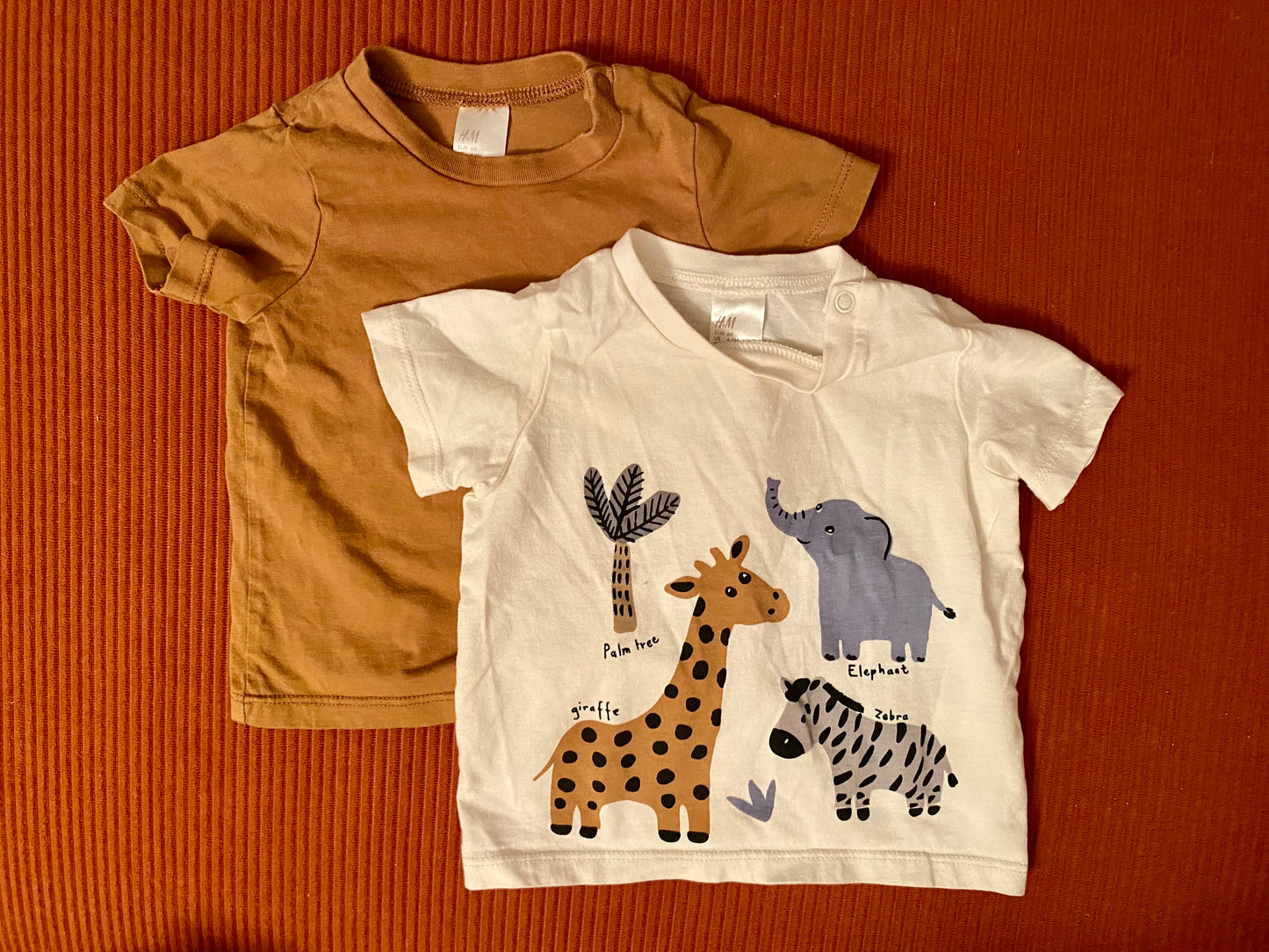 #193 - H&M Set of 2 t-shirts, 4-6M