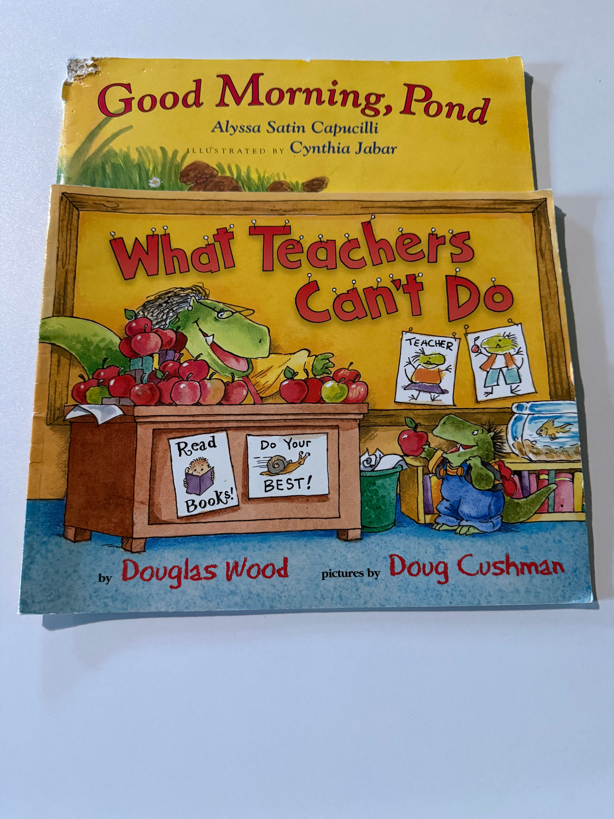 #20 "Good Morning, Pond", "What Teachers Can't Do" Books