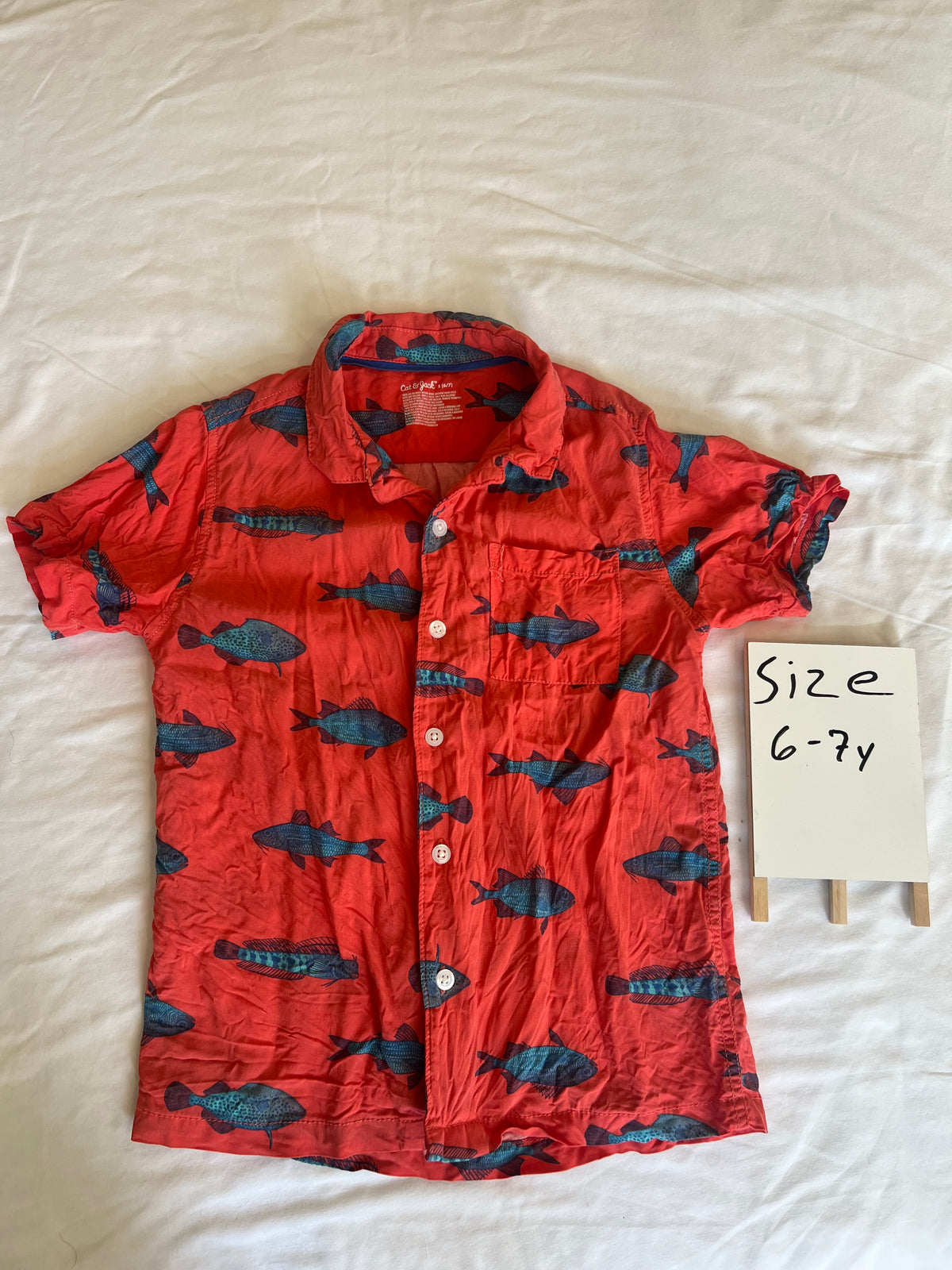 #24 size 6-7 cat and Jack button down
