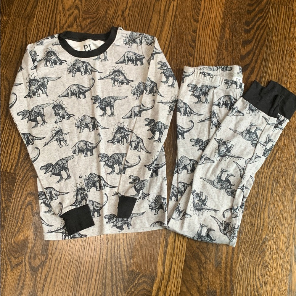 #151 - Like New Dinosaur Print Pajama Set - Boys 10
