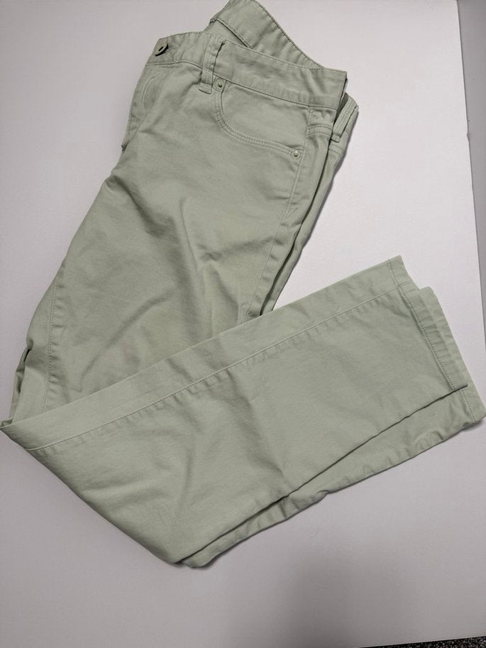 Seller 175 - Ann Taylor Loft Size 6 modern straight light green pants