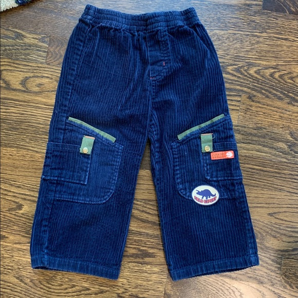 #91- REDUCED Cozy Dinosaur Print Hooded Jacket and Matching Pants - 2T