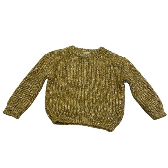 #1 Zara chunky sweater 2-3T REDUCED